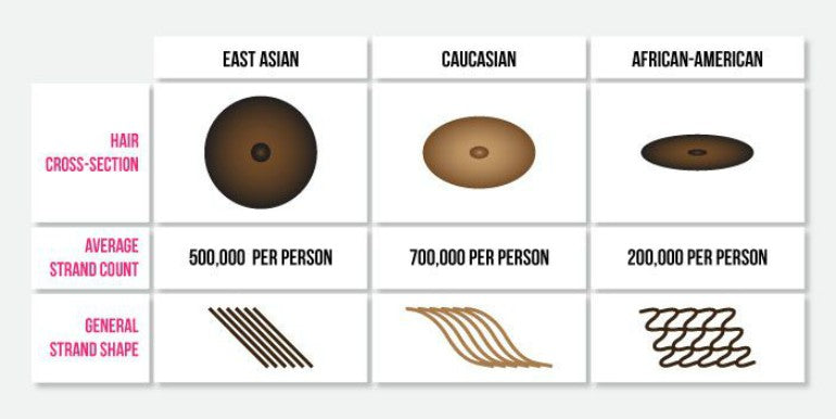 race differences in hair types