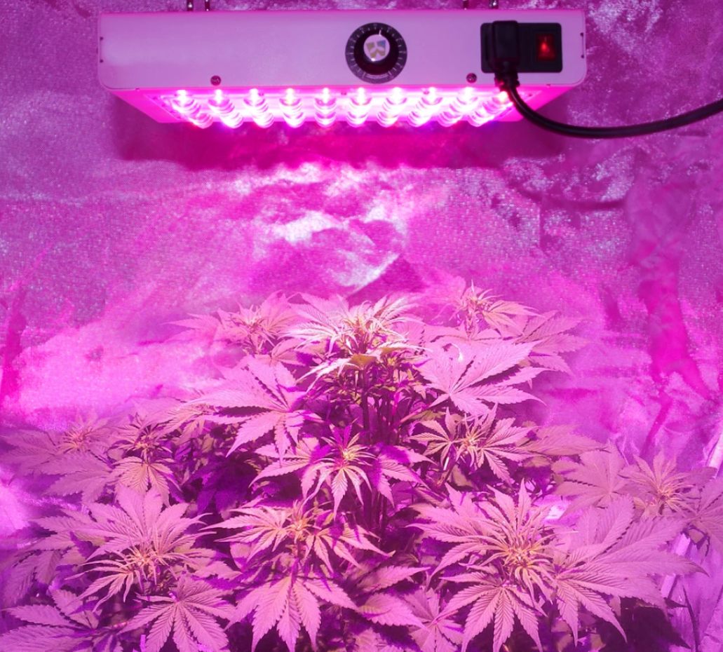 [Image: eco-farm-led-full-spectrum-grow-light_3.png]