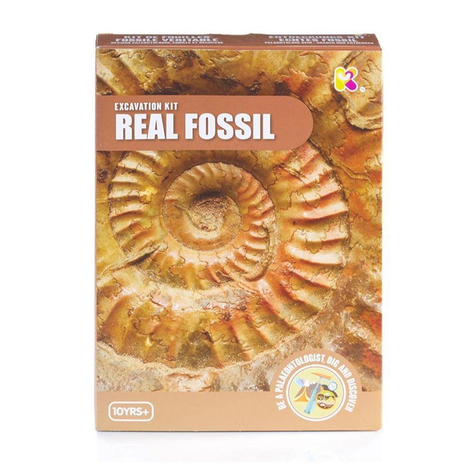 Real Fossil Excavation Dig Kit | Science Museum Shop
