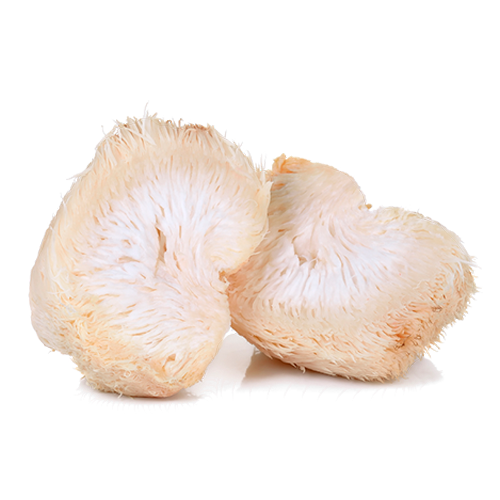 lions-mane-mushrooms-melena-de-leon-hongo-dr-simon-fit.png__PID:f41aaf49-5264-47c8-a4f6-b1105fc06224