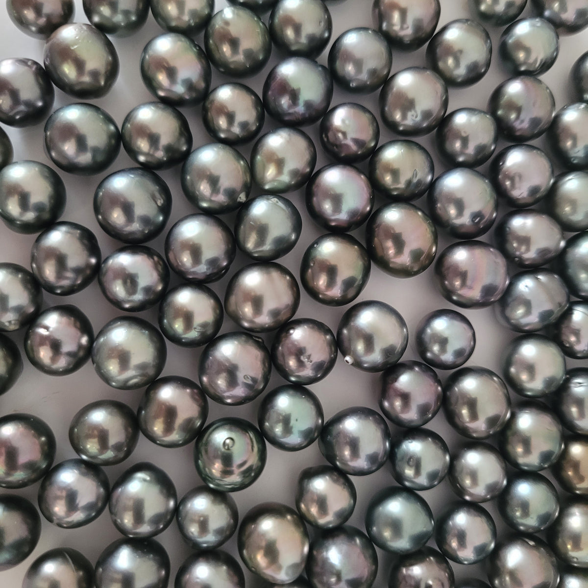 Loose South Sea Pearls - Wholesale South Sea Pearls