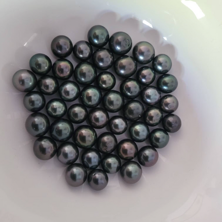 Loose Tahitian Pearls of Natural Dark Color and High Luster, Size of 10 ...