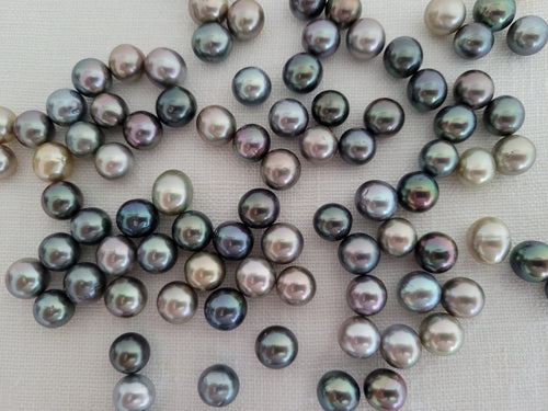 South Sea Pearls Wholesale | The South Sea Pearl