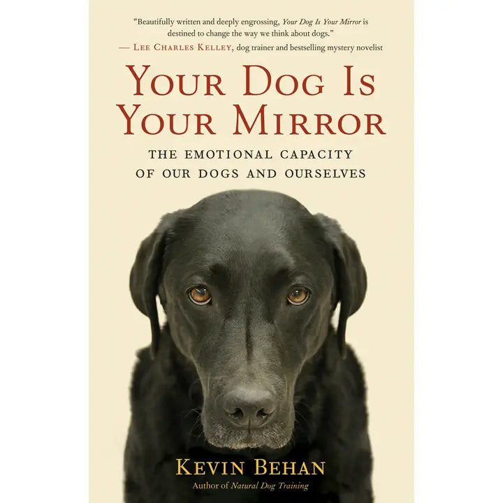 Your Dog Is Your Mirror