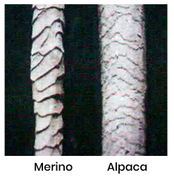 Microscopic images of different clothing fibers side by side