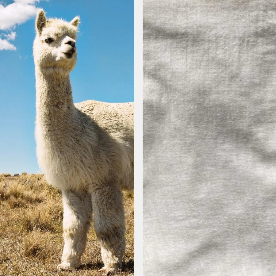 How to Dispose of Wool Clothing  Sustainable Living – Arms of Andes