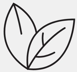 leaf icon