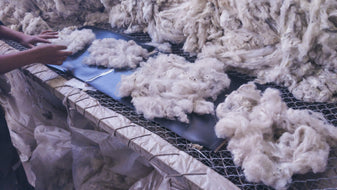 What is Baby Alpaca Wool? – Peruvian Nuna