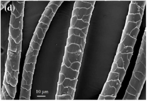 Merino wool fibers seen through a microscope