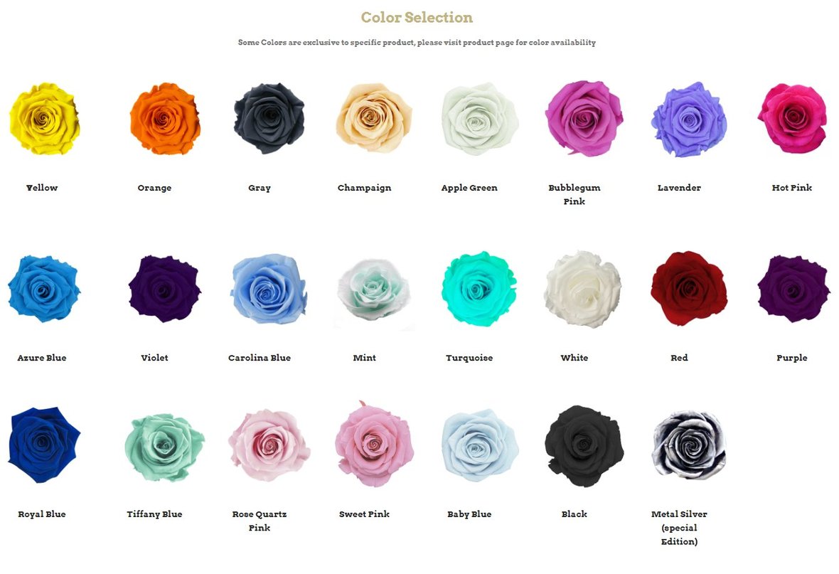 Garden Rose Color Chart