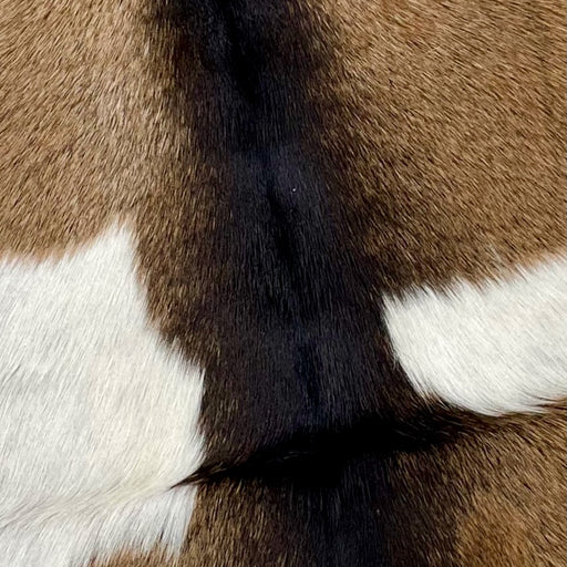 Large Authentic Axis Deer Hide - 3'6 x 2'3 (AXIS040) — Superior