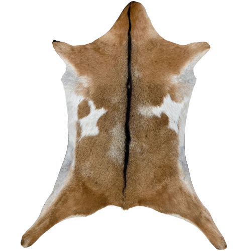 Authentic Axis Deer Hide - 3'3 x 2'5 (AXIS036) — Superior Hides