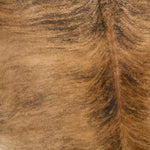 Closeup photo of this large, Brazilian, brindle cowhide that is light brown and black, darker down the spine, a has a touch of white on the belly (BRBR737)