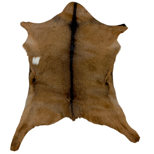 Large Authentic Axis Deer Hide - 3'6 x 2'3 (AXIS040) — Superior