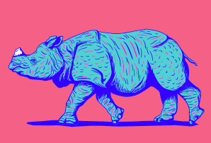 Javan Rhino