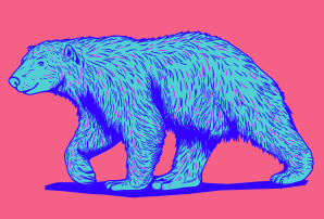 Polar Bear