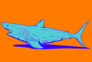 Great White Shark