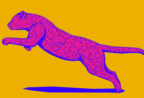 Cheetah