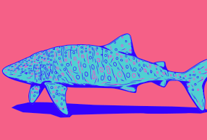 Whale Shark