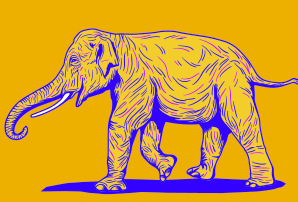 Indian Elephant