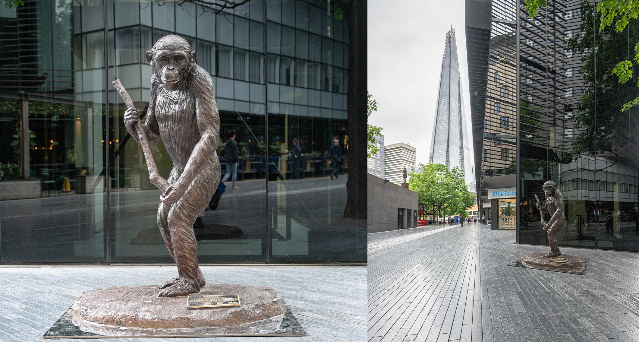 Bronze sculpture of chimp standing, hunting while holding a stick, in front of The Shard London