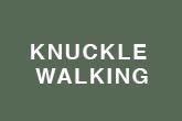 knuckle walking