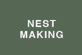 nest making