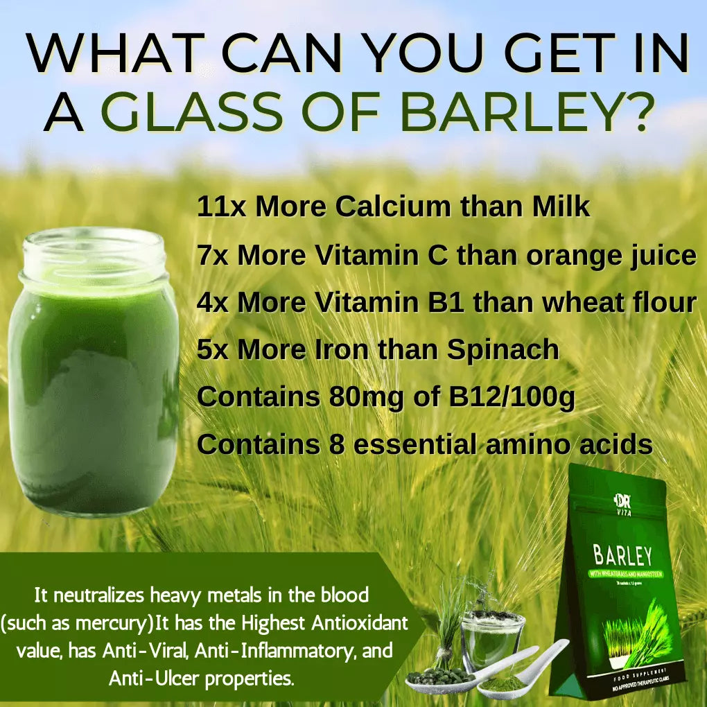 dr vita barley nutrients