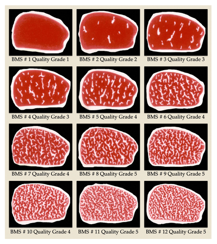 Wagyu Marble And Grading: An Explanation | Alpine Butcher