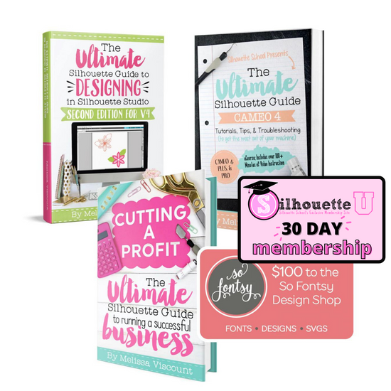 Using an OttLite Light Box for Weeding Vinyl (Silhouette School Review and  Giveaway) - Silhouette School