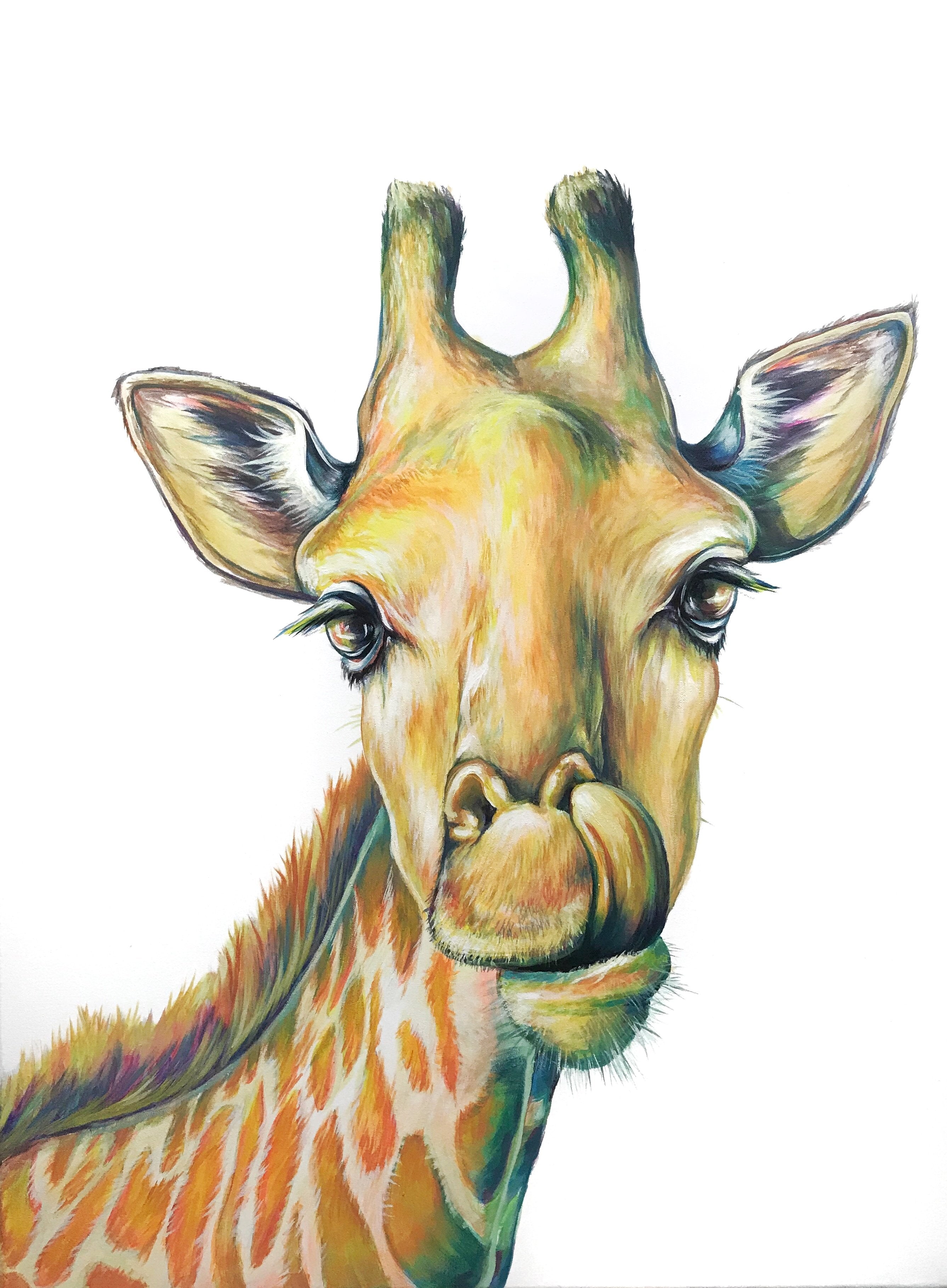 giraffe color pencil drawing