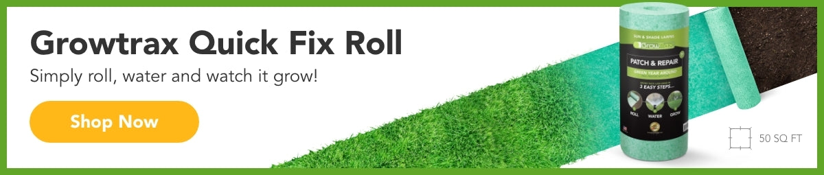 Lawn Patch Fix