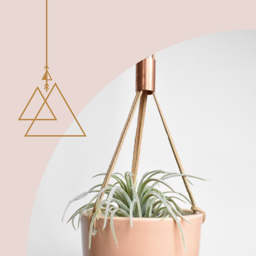 plant hanger