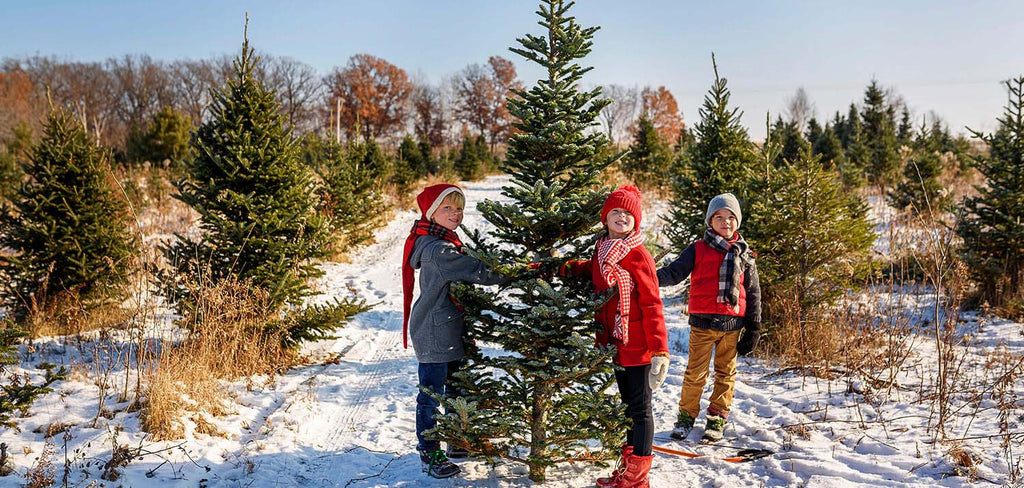 Children in Snowy outdoor with Christmas Tree