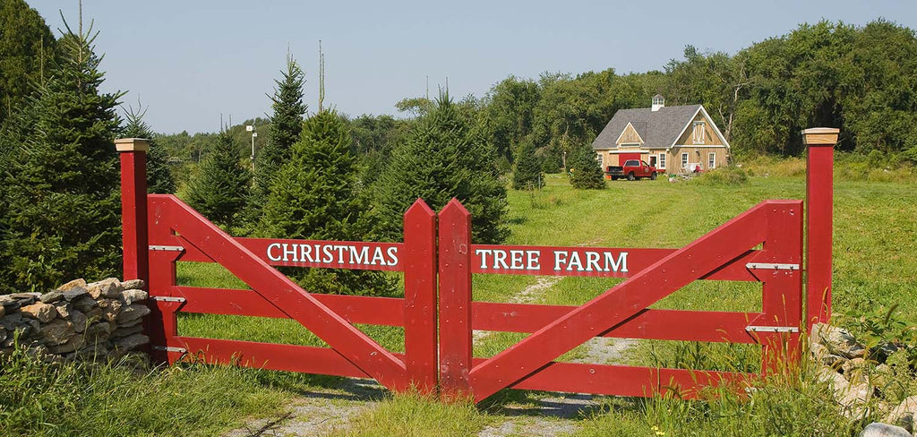 Christmas Tree Farm Gate