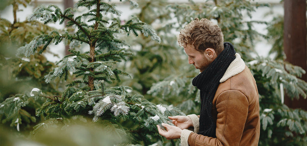 Men picking a christmas tree