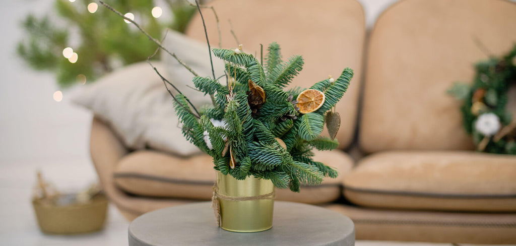 Potted Christmas Tree in gold pot