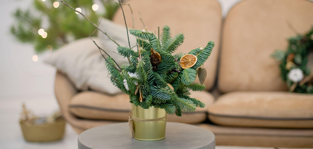 Mini Christmas Tree in a pot 