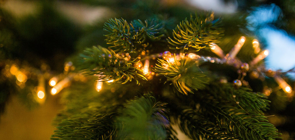 christmas tree lights close up