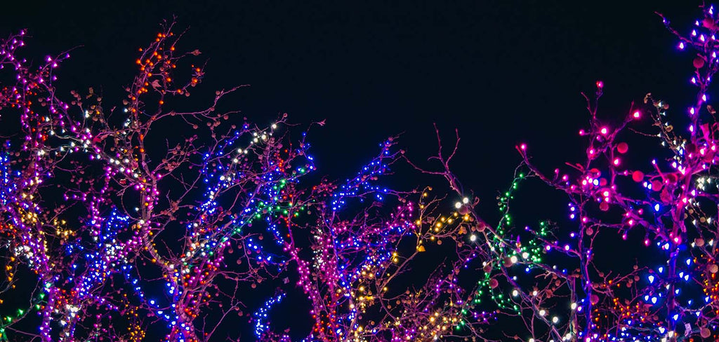 multi-coloured xmas lights on trees