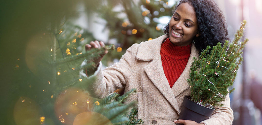 woman holding a potted Christmas tree