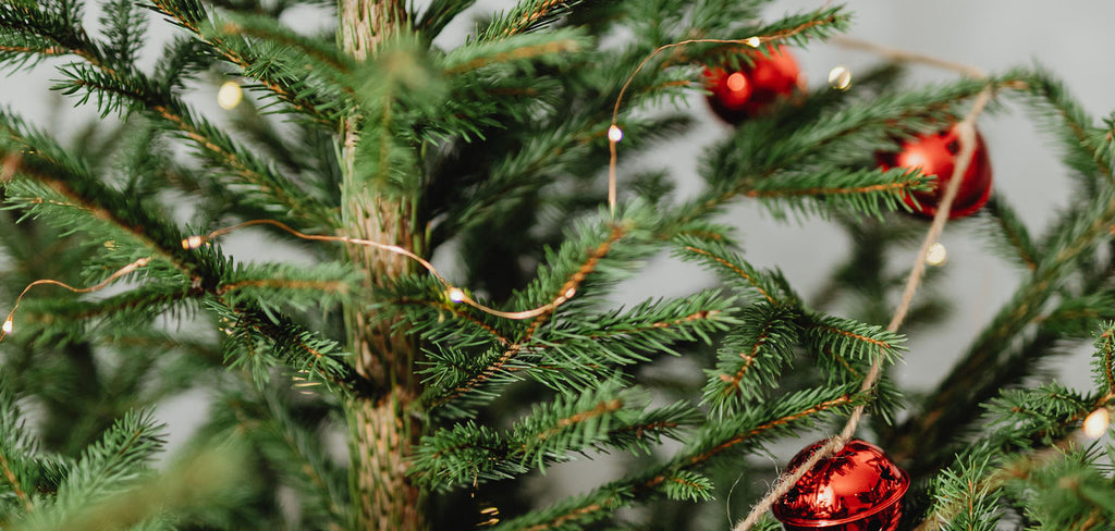 xmas tree with red bauble up close