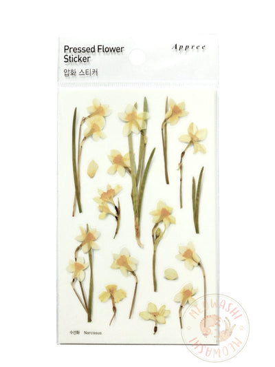 Appree Pressed Flower Sticker - Calendula