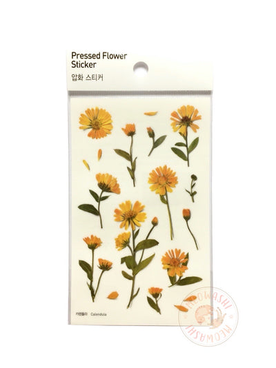 Appree Pressed Flower Sticker - Narcissus