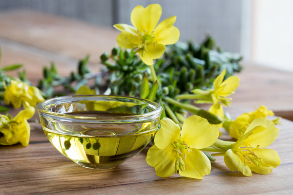 Evening Primrose Oil | Pure Life Science