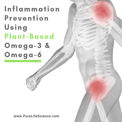 Inflammation Prevention Using Plant-Based Omega-3 & Omega-6 | Pure Life Science