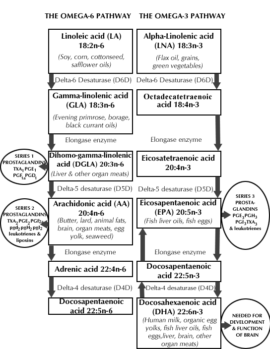 Omega 6 Omega 3 Chart | Pure Form Omega Blog