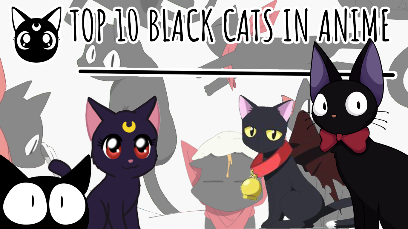 Our Favorite Black Cats in Anime 