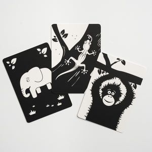 Black And White Flash Cards For Babies Love Monochrome