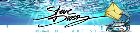 Steve Diossy News Letter Sign Up